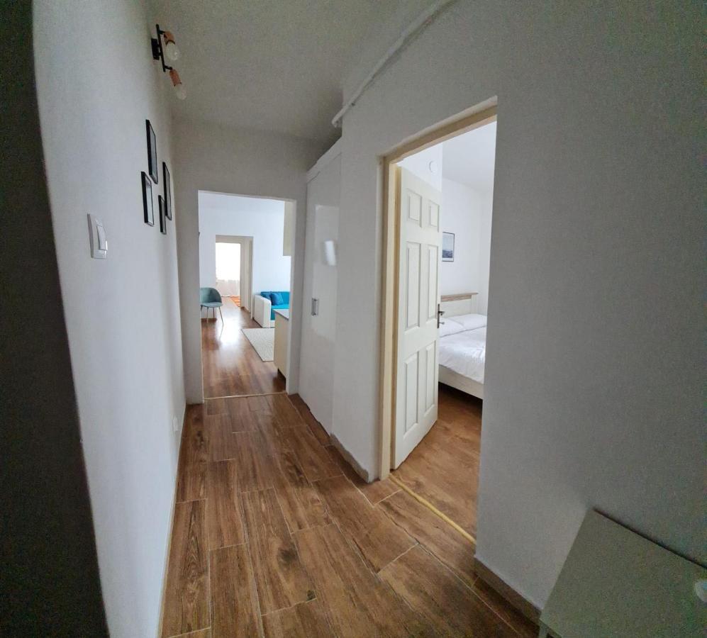 Dddd Apartament Cavnic Exterior foto