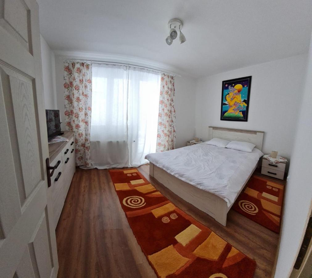 Dddd Apartament Cavnic Exterior foto